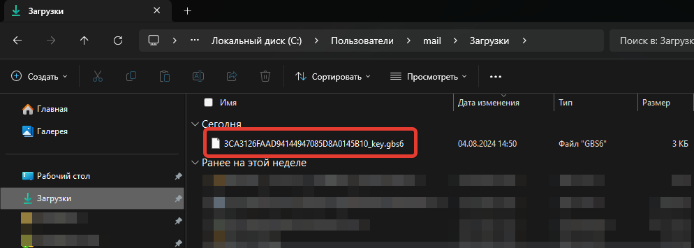 Кассовая программа Nextmarket. Файл ключа лицензии в папке "Загрузки"