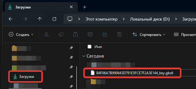 Кассовая программа Nextmarket. Файл ключа в папке "Загрузки"