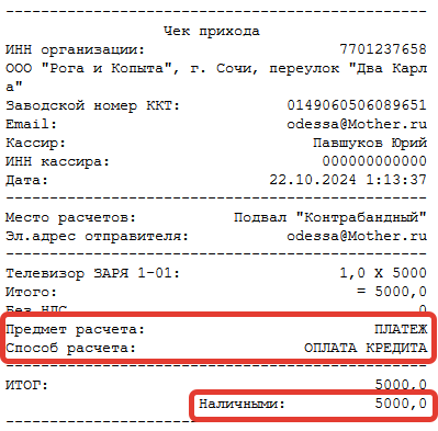 Кассовая программа Nextmarket. Внешний вид чека внесения платежа по задолженности (кредиту)